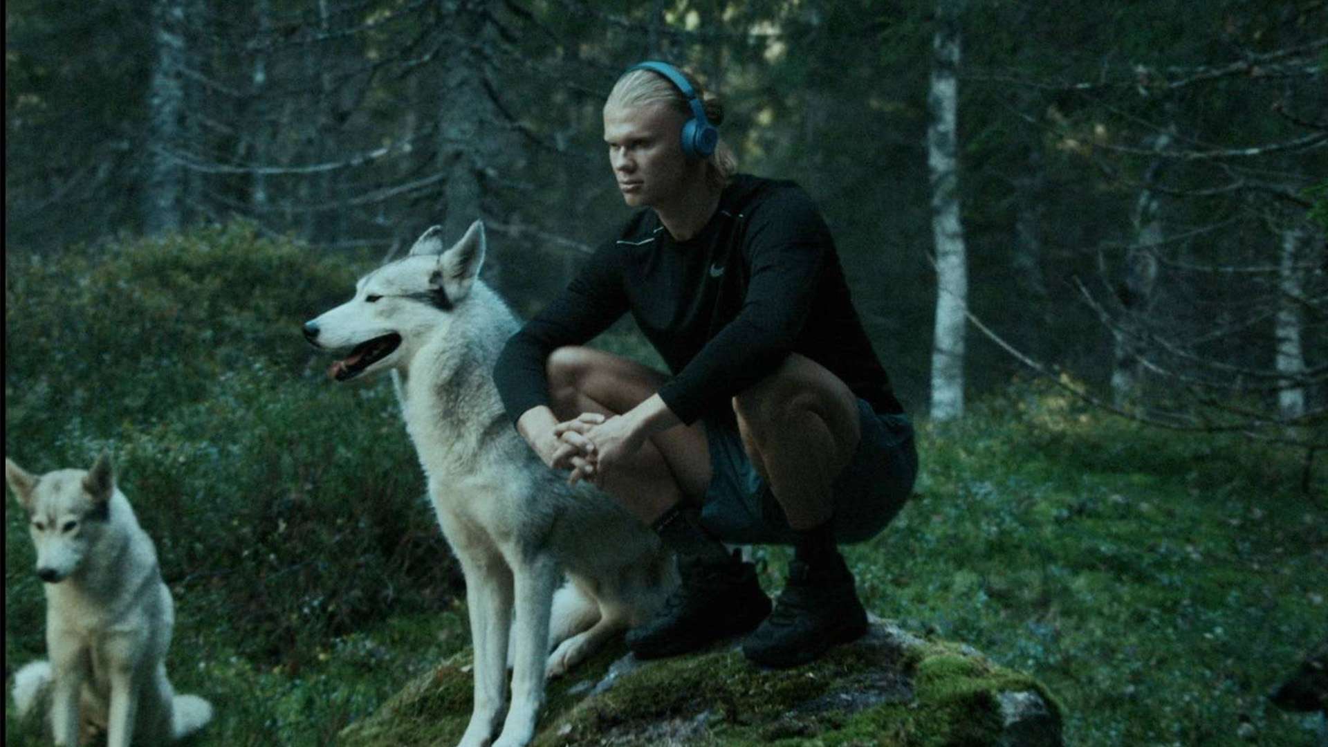 阿联酋重申反对驱逐巴勒斯坦人.