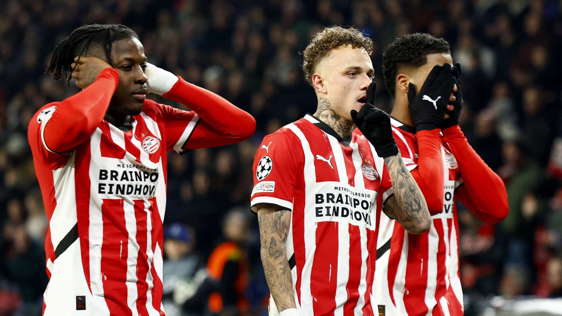 的資金支持 的資金支持